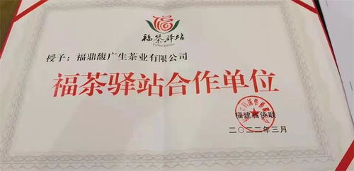 福茶驛站攜手合作企業，借僑優勢揚帆出海，共謀茶業新篇章